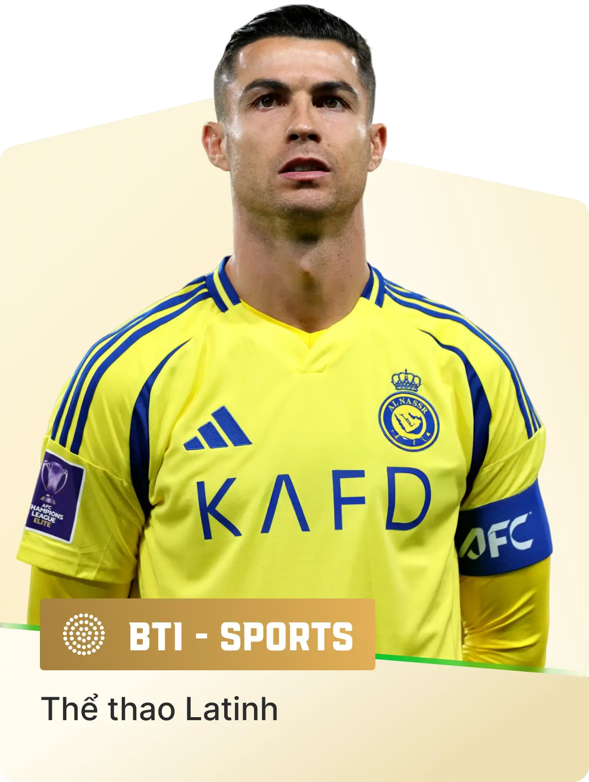 BTI-Sport_img